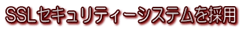 SSL�Z�L�����e�B�[�V�X�e�����̗p